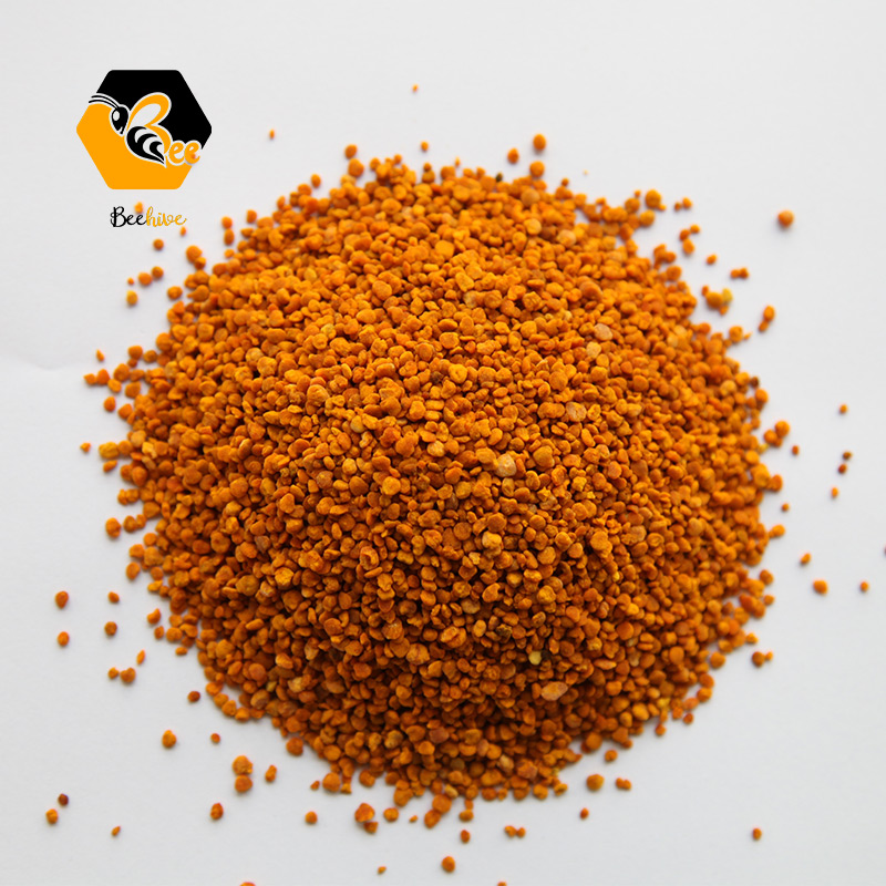 Bee Farm Wholesale Directly Supplies Organic Natural Bee Pollen Camellia Pollen Tea Flower Pollen for Sale