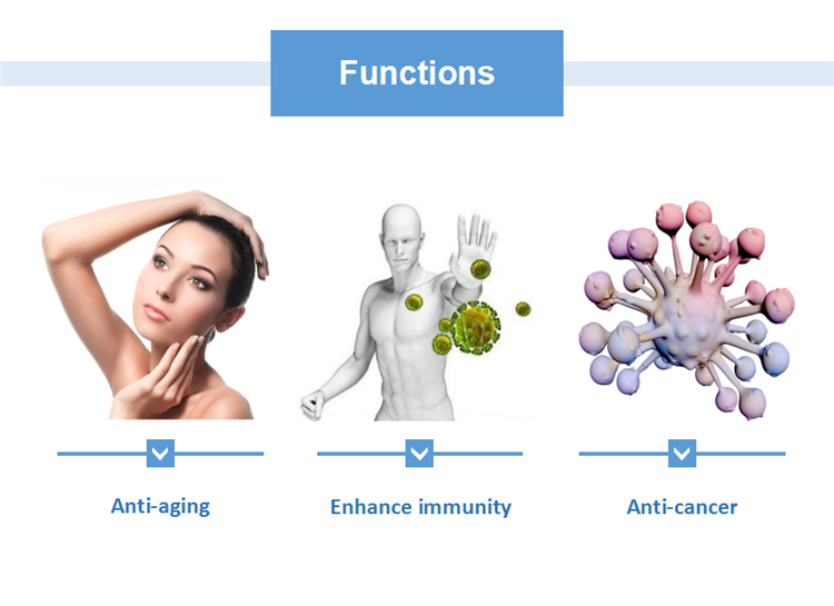 Royal Jelly Lyophilized Powder