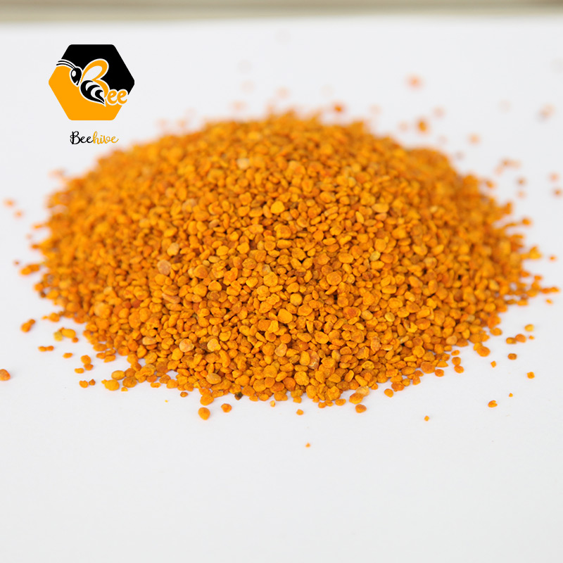 Camellia Pollen