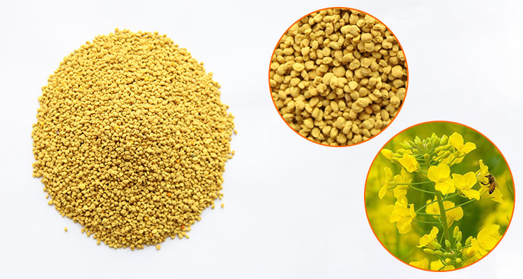  Wholesale Bee Farm Directly Supplies Organic Natural Bee Pollen Rape Pollen Rapeseed Pollen for Sale