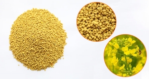  Wholesale Bee Farm Directly Supplies Organic Natural Bee Pollen Rape Pollen Rapeseed Pollen for Sale