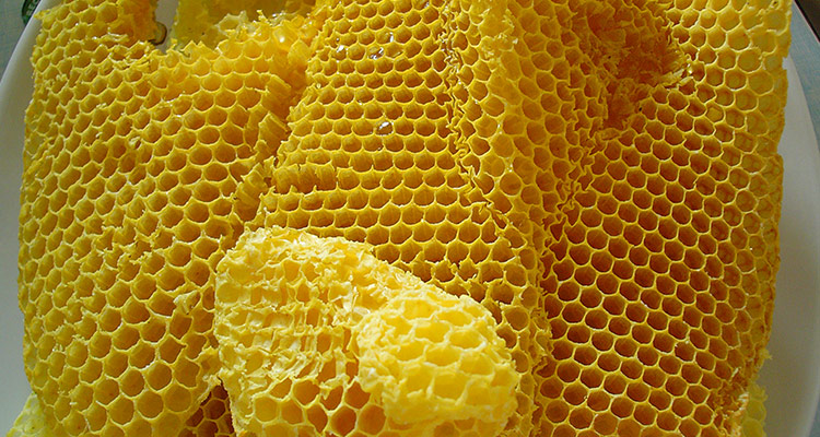 The secret of beeswax