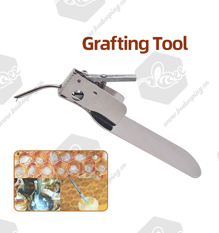 Beekeeping Needle Queen Rearing Grafting Tool with Spare Tongue Master Grafting Tool