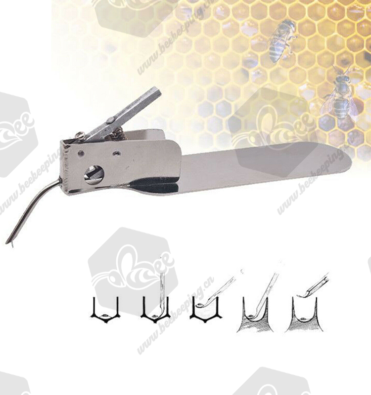 Beekeeping Needle Queen Rearing Grafting Tool with Spare Tongue Master Grafting Tool