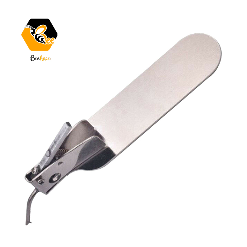Beekeeping Needle Queen Rearing Grafting Tool with Spare Tongue Master Grafting Tool