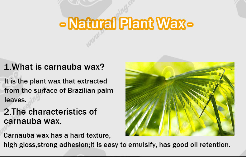 Car Polish Wax