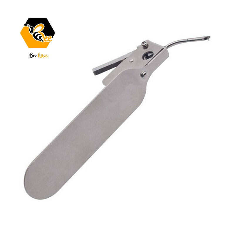 Beekeeping Needle Queen Rearing Grafting Tool with Spare Tongue Master Grafting Tool