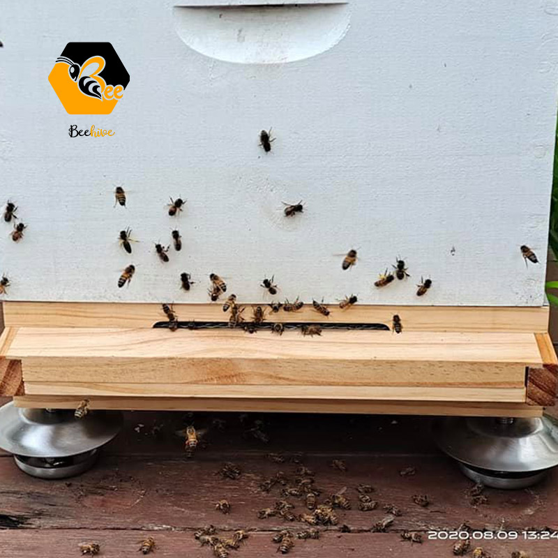 China Wholesale Beekeeping Supplies Stainless steel  Ants Proof Hive Feet for Sale