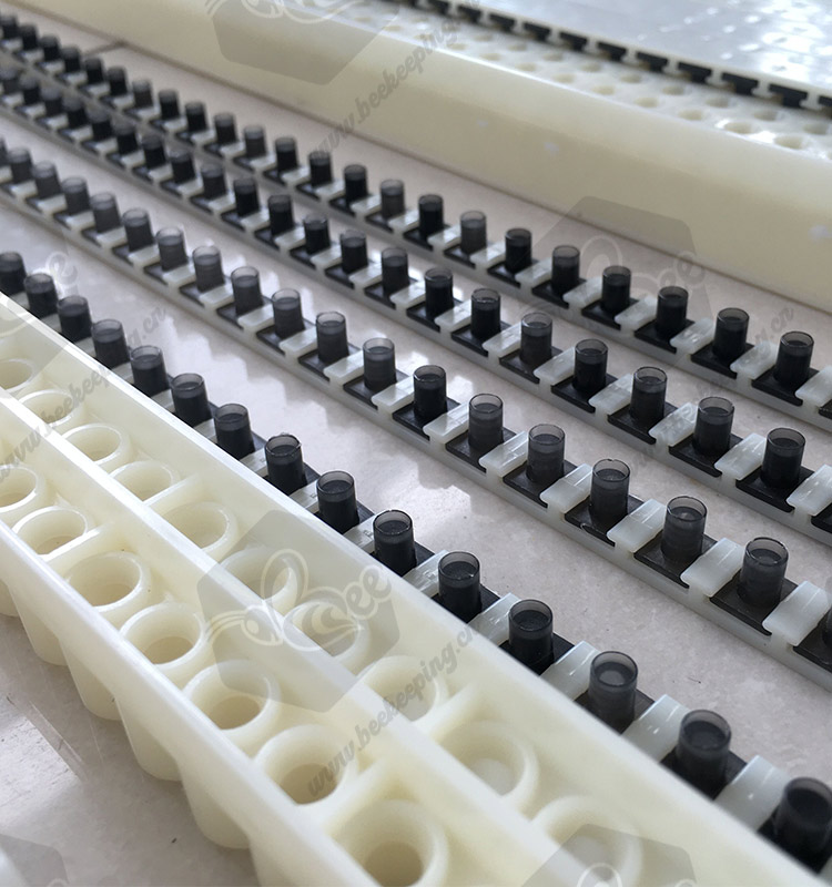 No Grafting Queen Rearing Kit