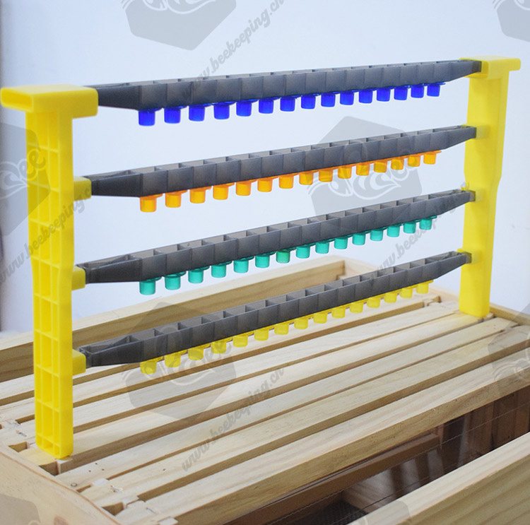 Bee Queen Rearing Frame Kit