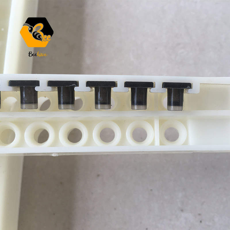 Complete Beekeeping Kit Queen Bee Rear Box Queen Roller Cage Bee Cell Cup with Holders Queen Rearing System
