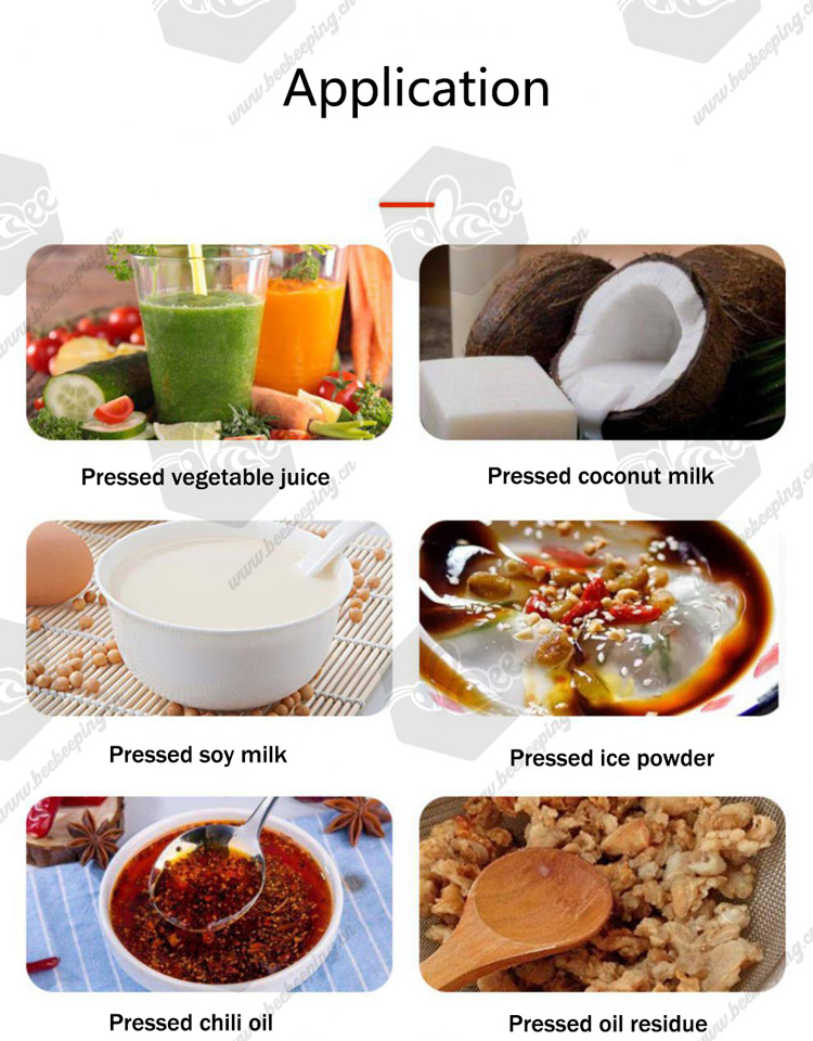Factory Supply Manual Stainless Steel Fruit Juice Press