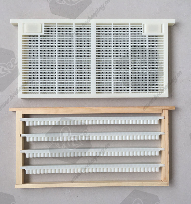 No Grafting Queen Rearing Kit