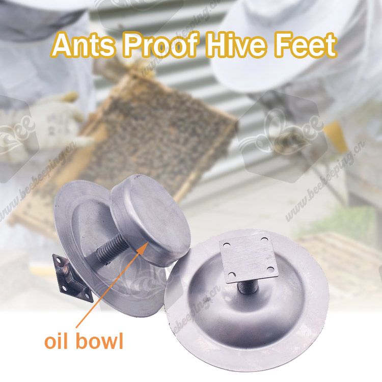 Beekeeping Equipment Ants Proof BeeHive Feet