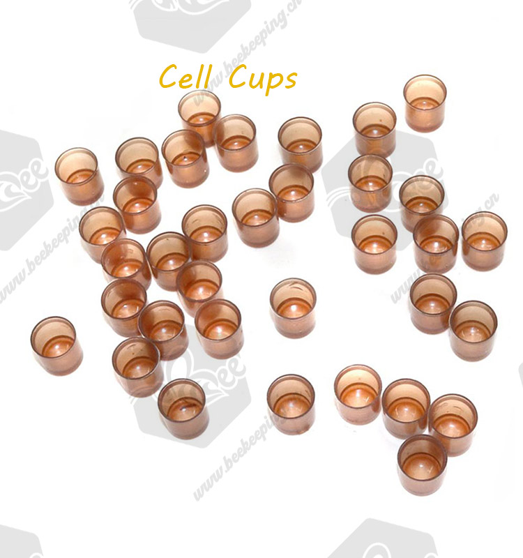 cell cups