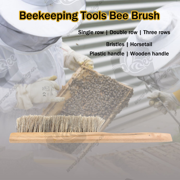 Natural Bristle Horse Hair Bristles Bee Sweep Bee Brush