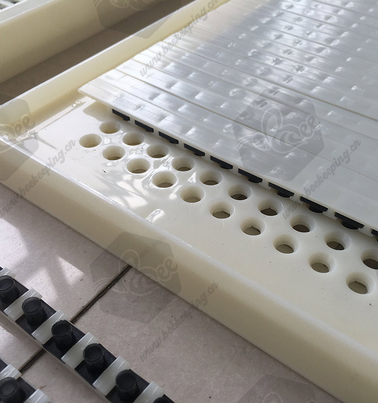 No Grafting Queen Rearing Kit