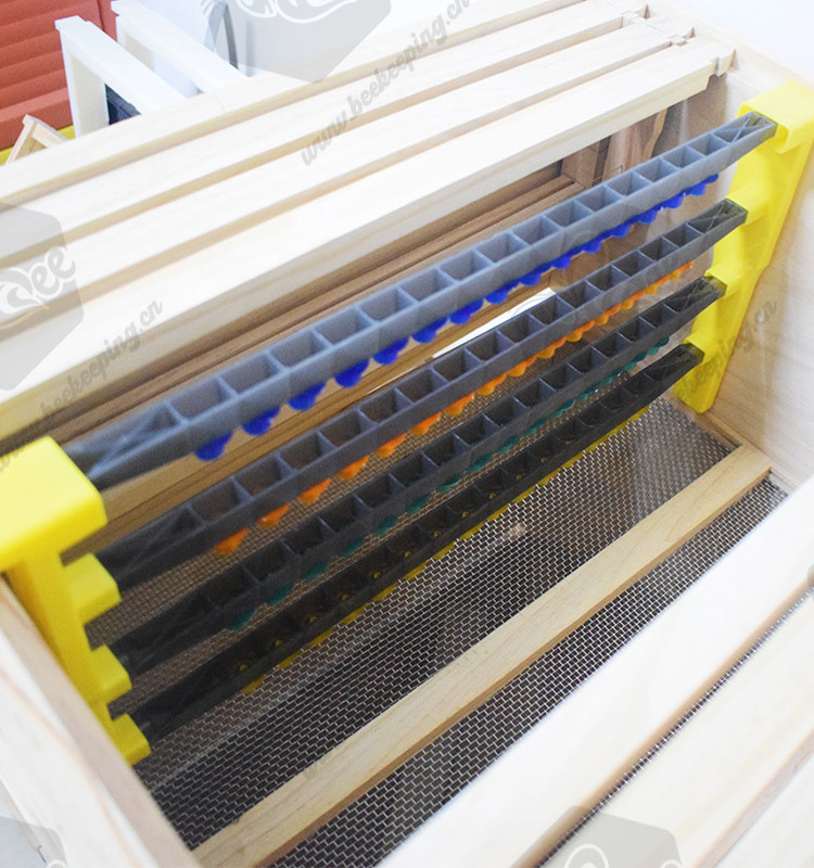 Bee Queen Rearing Frame Kit