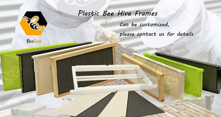 Plastic Bee Hive Frames