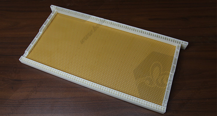 Beekeeping Equipment Black Color Plastic Bee Hive Frames with Comb Foundation