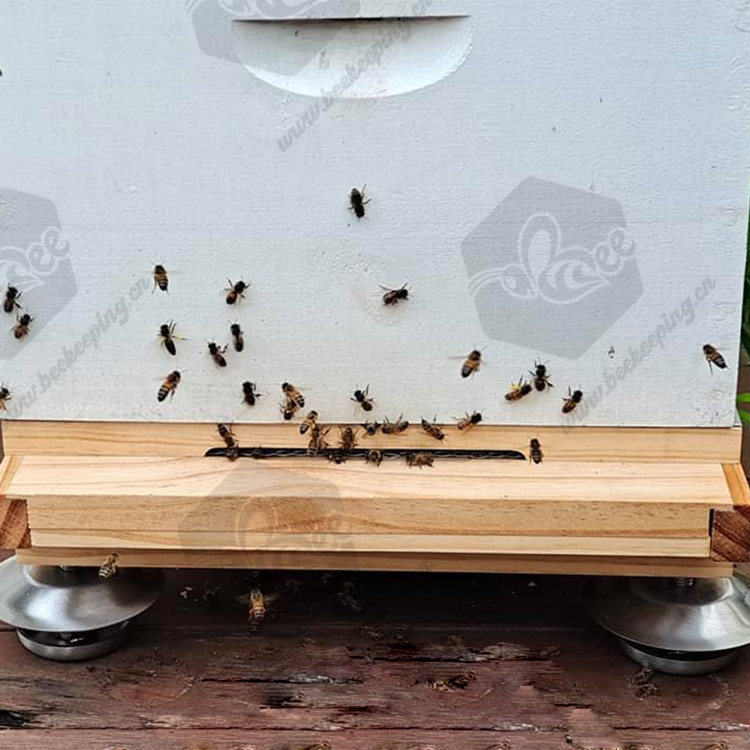 Beekeeping Equipment Ants Proof BeeHive Feet