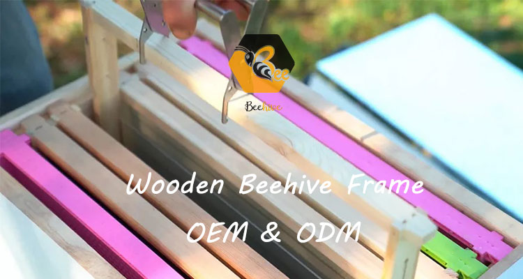 langstroth wooden beehive frame for sale