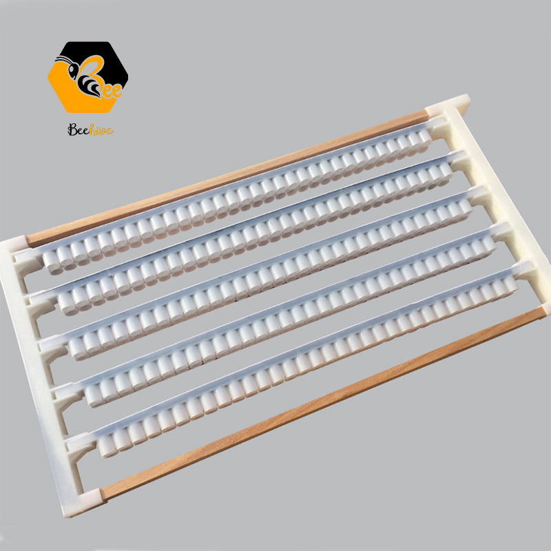 Beekeeping Wooden / Plastic Single Row & Double Row Cell Cups Royal Jelly Queen Rearing Frame