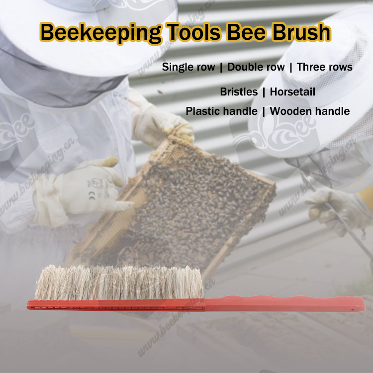  Honey Bee Brush with Plastic Holder