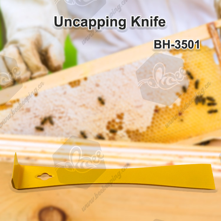 Wholesale Cheap Multifunctional Starting Scraper Bee Knife
