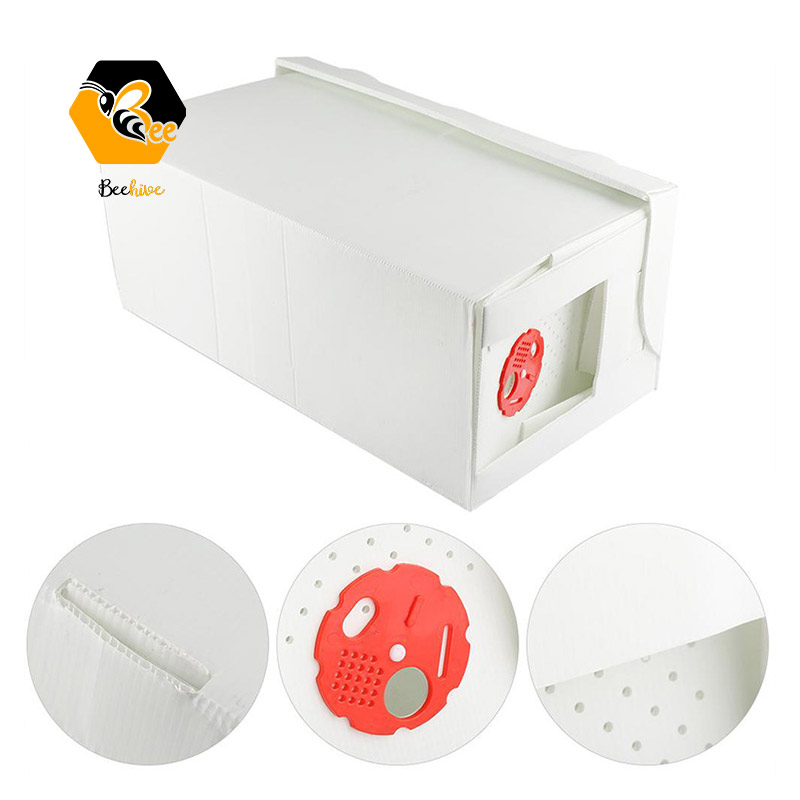 Langstroth style Water Proof 5 Frame Calcium Plastic Bee Box Beehive Nuc Box for Sale