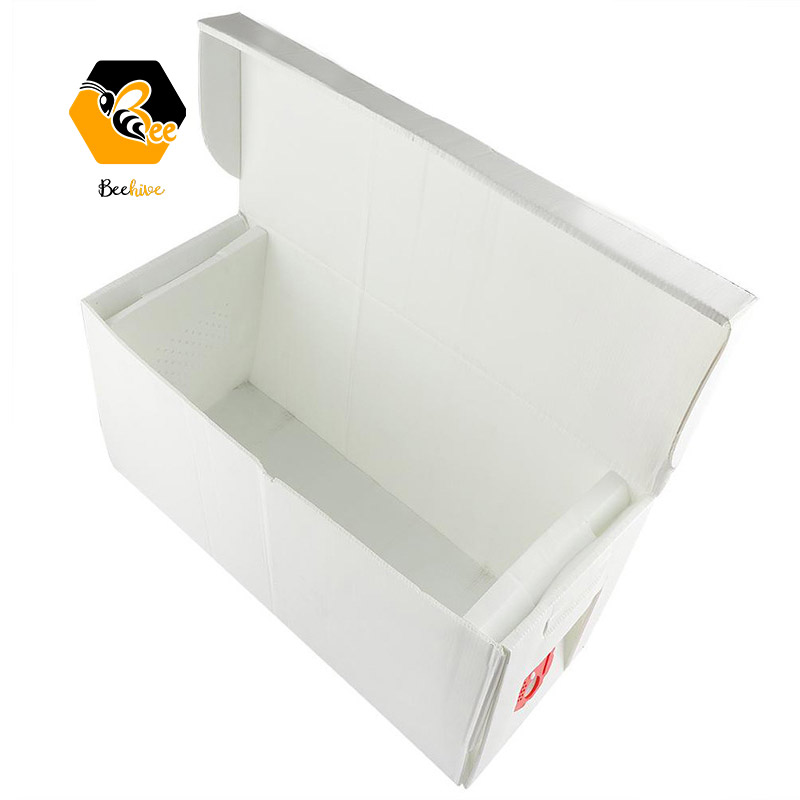 Langstroth style Water Proof 5 Frame Calcium Plastic Bee Box Beehive Nuc Box for Sale