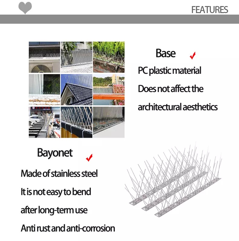 Stainless Steel Bird Repellent Outdoor Anti Bird Spikes