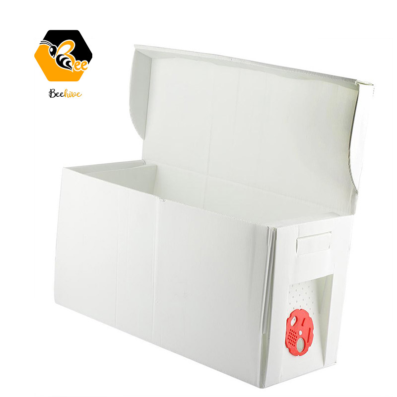 Langstroth style Water Proof 5 Frame Calcium Plastic Bee Box Beehive Nuc Box for Sale