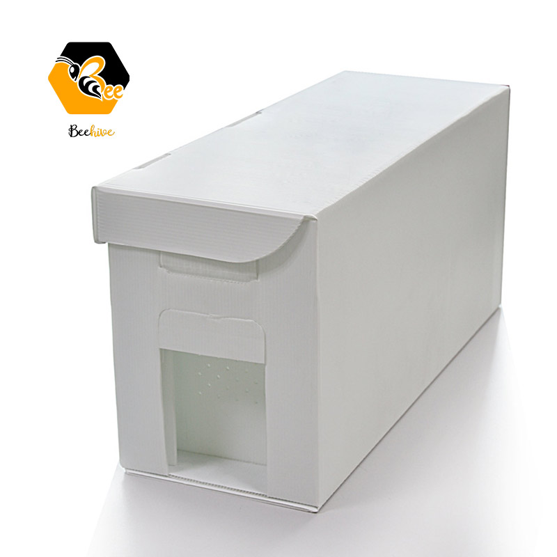 Langstroth style Water Proof 5 Frame Calcium Plastic Bee Box Beehive Nuc Box for Sale