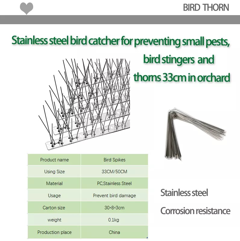 Stainless Steel Bird Repellent Outdoor Anti Bird Spikes